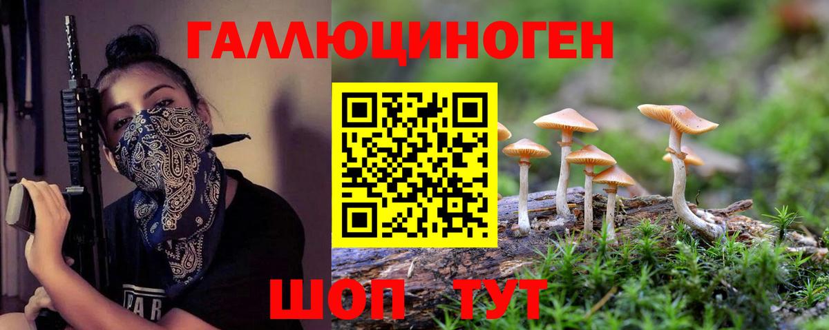 Псилоцибиновые грибы Psilocybe Соликамск