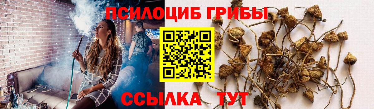 Галлюциногенные грибы ЛСД  Галлюциногенные грибы мухоморы  Соликамск  Вход с VPN 